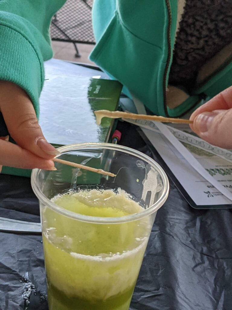 toothpicks probe DNA cup mixture